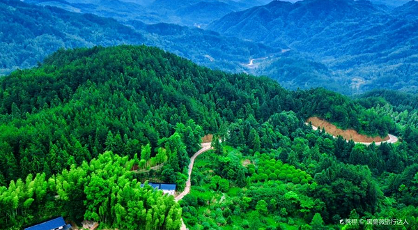 三爪仑国家森林公园