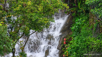 千谷溪森林公园