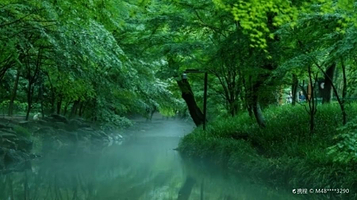 九溪风景区