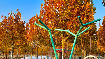 梦幻岛亲子乐园