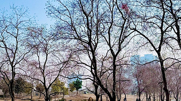 黄家湖湿地公园-露营地