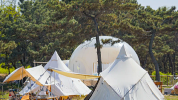 爱往度假养马岛营地