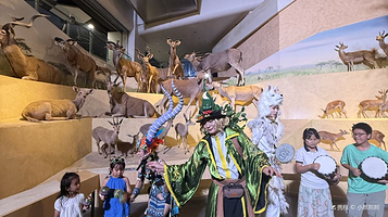 武汉自然博物馆