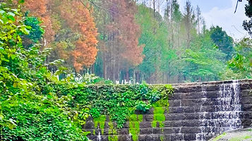 又一村(青城后山店)