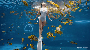 豪生水上运动俱乐部-海世界潜水(小黄鱼馆)