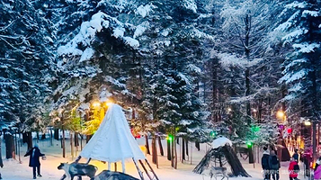 长白山雪绒花驯鹿园