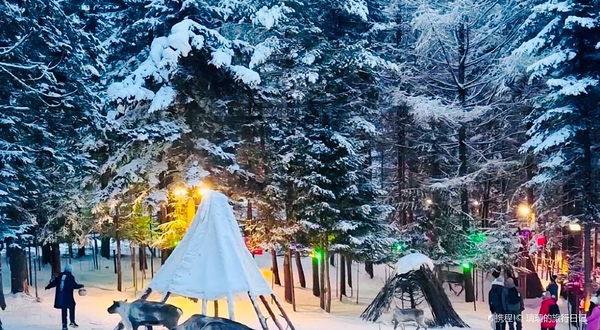 长白山雪绒花驯鹿园