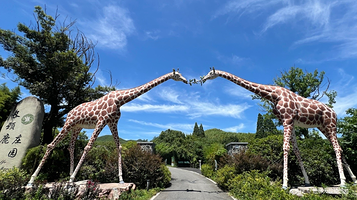 长颈鹿庄园萌宠部落