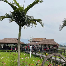 孟定南亚风情旅游区