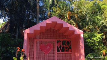 厦门园林博览苑-三角梅园