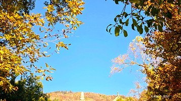 栖霞山名胜风景区-栖霞秋色