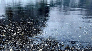 Oeschinen Lake Viewpoint