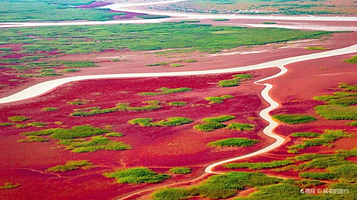 山东黄河三角洲国家级自然保护区