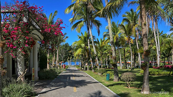 黎母山国家森林公园