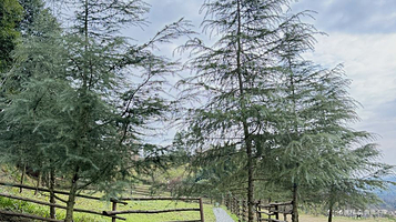 小绿球大地艺术山谷