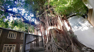 上下杭广场(中亭街H区店)