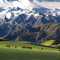 巴尔鲁克旅游风景区