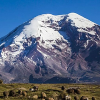 科托帕希国家公园