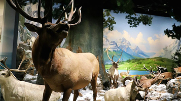 江西省博物馆 4号展厅