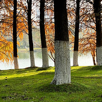 孔目江国家湿地公园