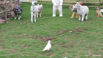 奇门生态乐园·露营·亲子·团建·聚会·派对·户外烧烤(番禺店)