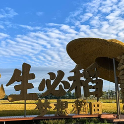梦想稻田文化公园