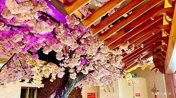 水善汇(长风东街店)