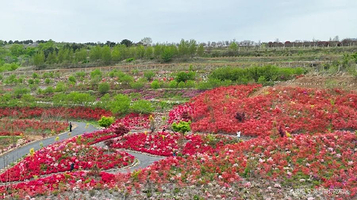 無比方花园景区