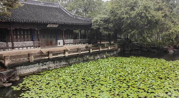 杭州西溪湿地-水塘