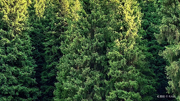 小渠子青龙潭景区