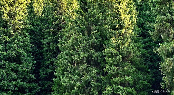 小渠子青龙潭景区