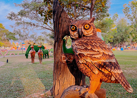 世外桃源隐世村