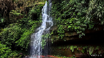 大圆洞国家森林公园