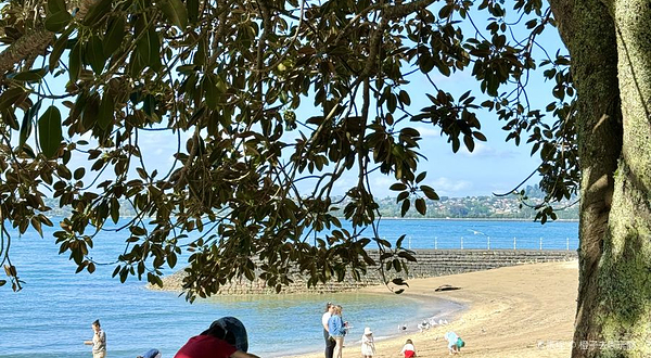 Devonport Beach