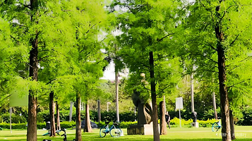 梁明诚雕塑园-露营地