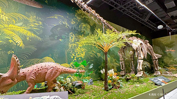 无锡古运河遇见博物馆