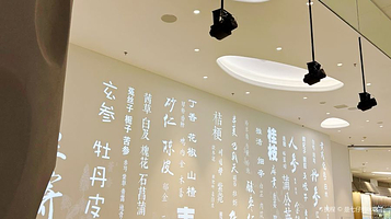 横琴中医药文化体验馆