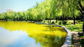 清凉山森林公园