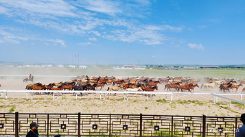 太仆寺御马苑旅游区