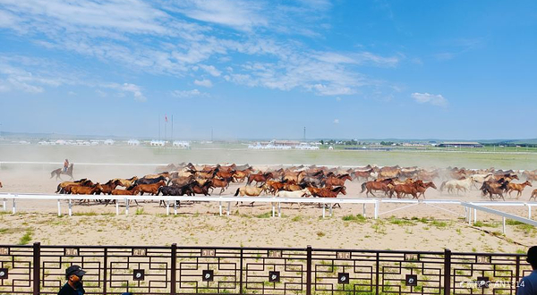 太仆寺御马苑旅游区