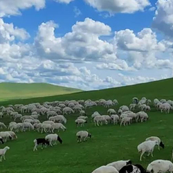 扎鲁特山地草原旅游区