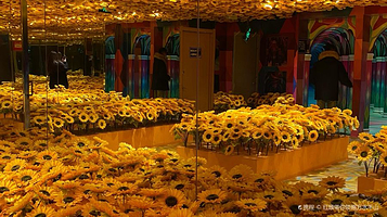 保定梵高星空艺术馆旗舰店