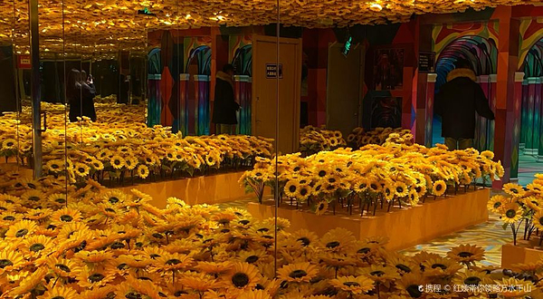 保定梵高星空艺术馆旗舰店