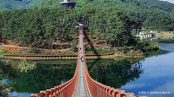 马场湖吊桥