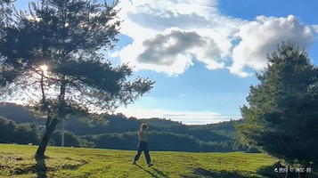 大哨森林农家乐