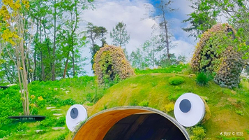 木石多肉·云朵花园