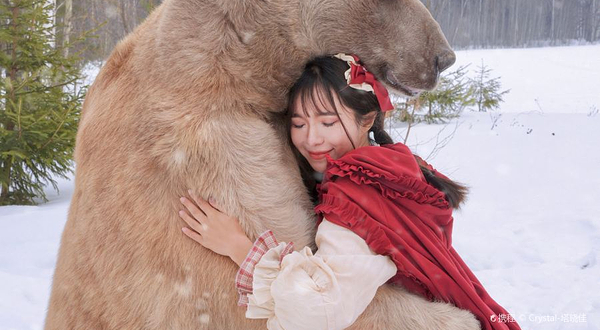 莫斯科拥抱棕熊体验