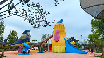 婺女洲飞鸟亲子乐园