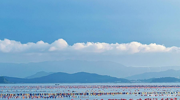 彩虹码头出海捕鱼