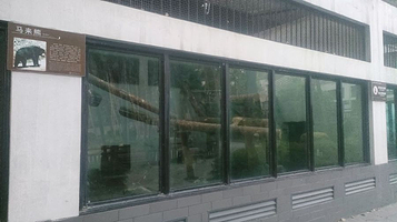 重庆动物园-马来熊